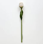 Bouquet of 27 flowers (flower market 2.0)