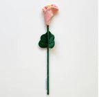 Bouquet of 27 flowers (flower market 2.0)