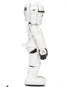 Stormtrooper (Companion Figure)
