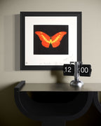 To Love (Butterfly)