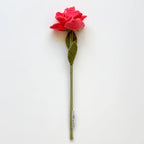 Bouquet of 27 flowers (flower market 2.0)