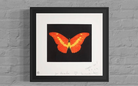 Damien Hirst — To Love (Butterfly)