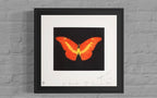 To Love (Butterfly)