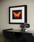 To Love (Butterfly)