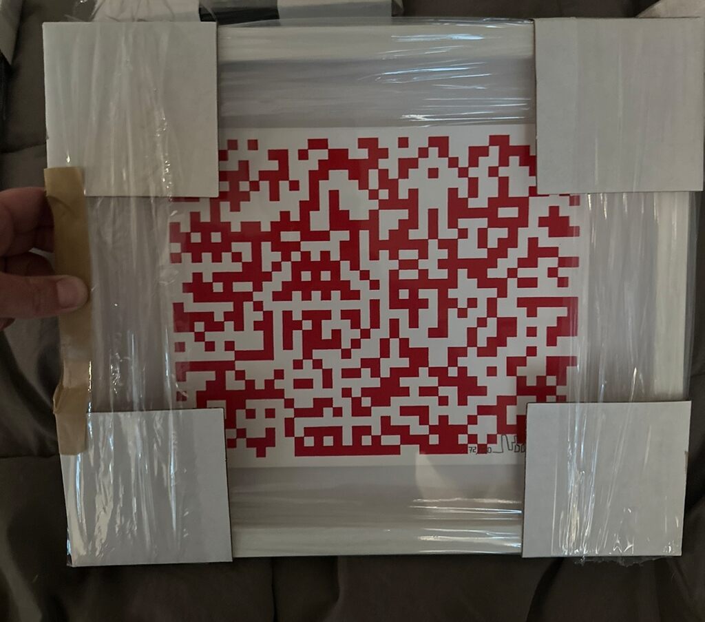 Binary Bug (First Edition)