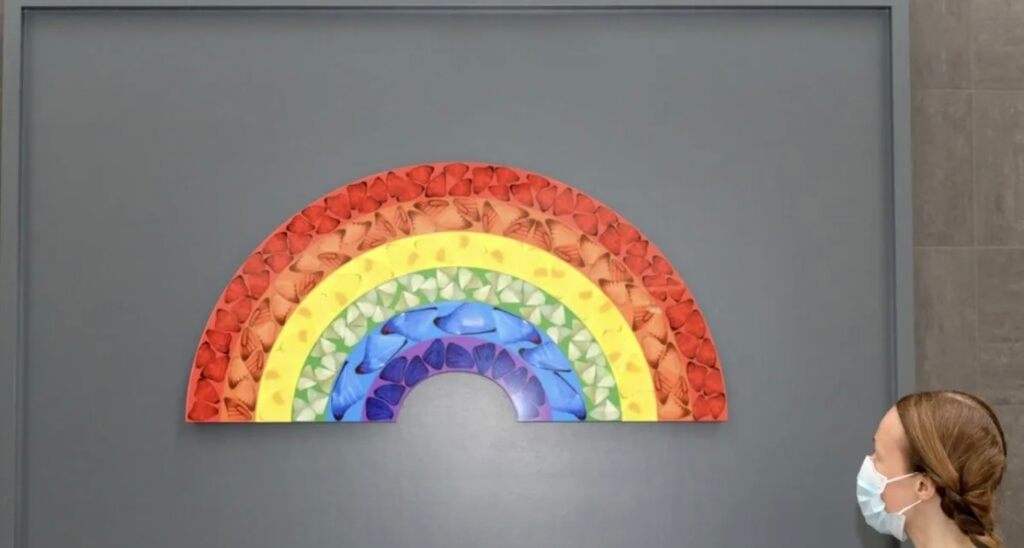 Butterfly Rainbow (753/1497) H7-1