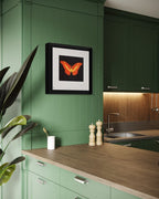 To Love (Butterfly)