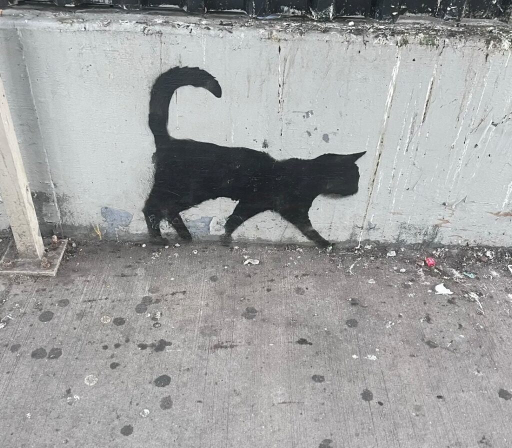 Skeleton Cat (Yellow Variant)