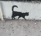 Skeleton Cat (Yellow Variant)