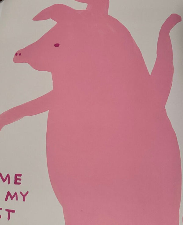 Some of My Best Friends are Pigs