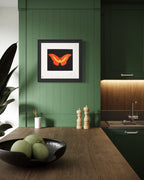To Love (Butterfly)