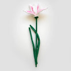Bouquet of 27 flowers (flower market 2.0)