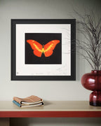 To Love (Butterfly)