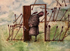 Lapin Sans Abri (Homeless Rabbit)