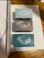 Hot wheels Eroded Rally case with cars (signed)