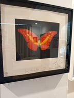 To Love (Butterfly)