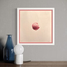 Light Pink Ice Cream Scoop (Jeni’s)