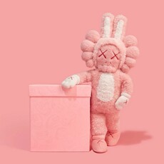 KAWS X DDT ACCOMPLICE PLUSH