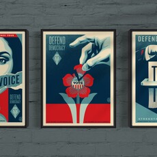 Defend Democracy (Triptych, 3 Prints)