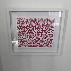 Binary Bug (First Edition)