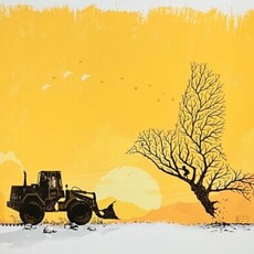 FLIGHT (Hand finished Artist Proof)