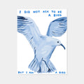 i did not ask to be a bird