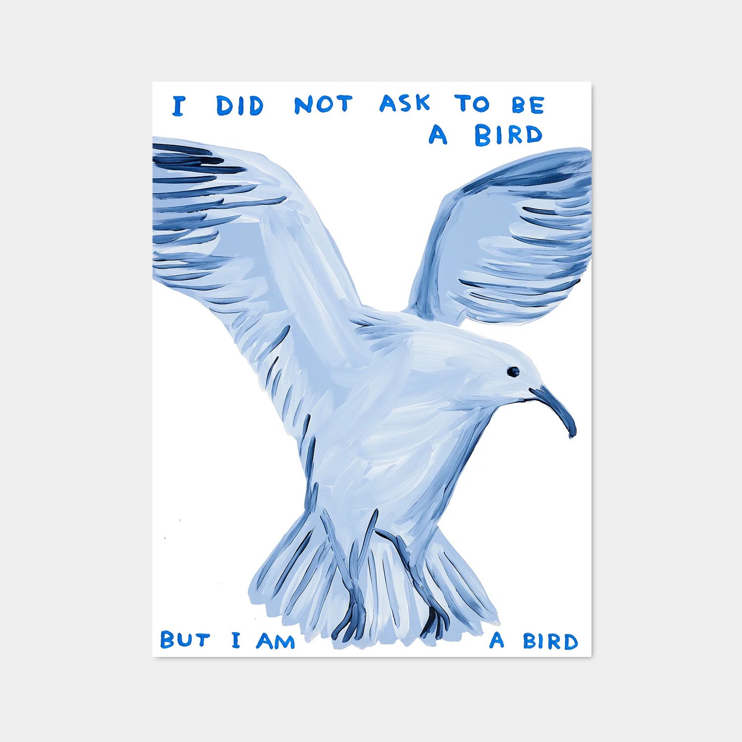 i did not ask to be a bird