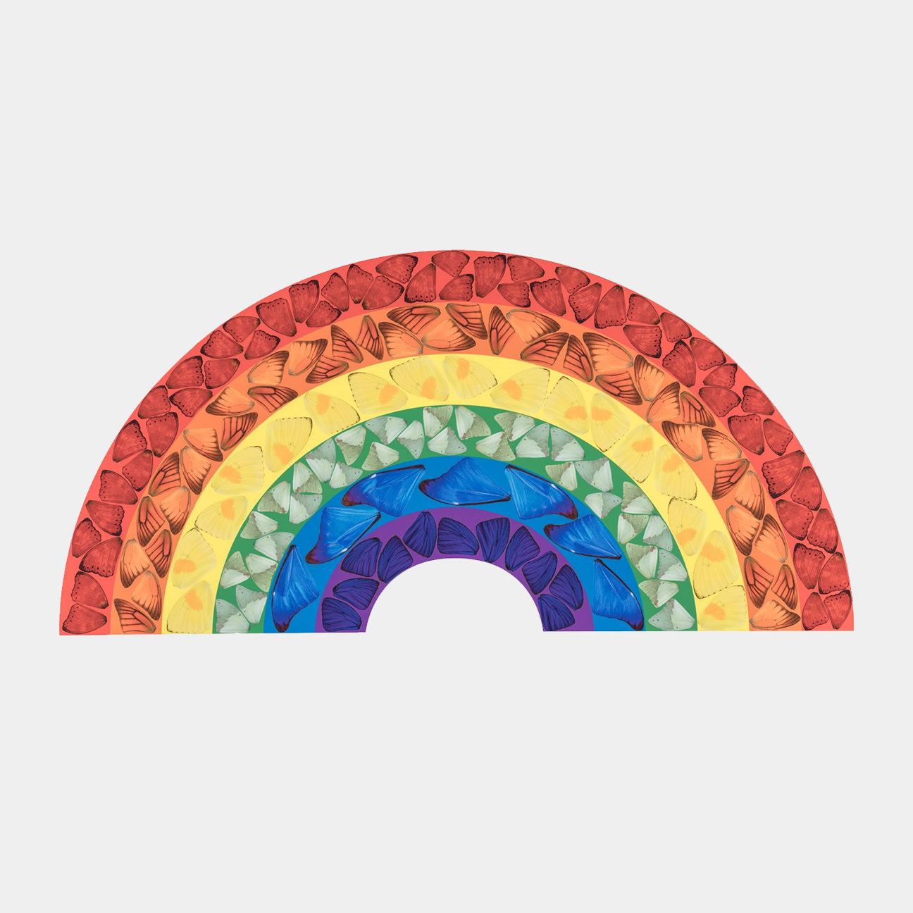 Butterfly Rainbow Large