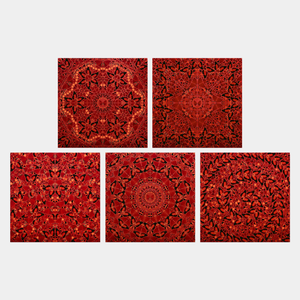 Empresses Set of 5